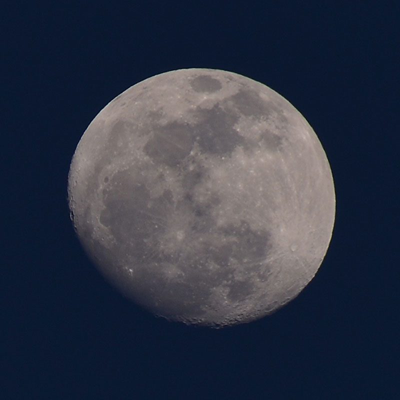 Late Afternoon Waxing Gibbous Moon Photo