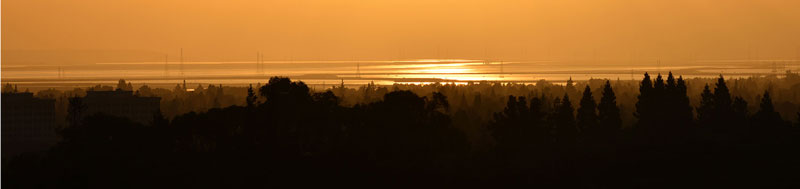 Palo Alto Baylands at Dawn